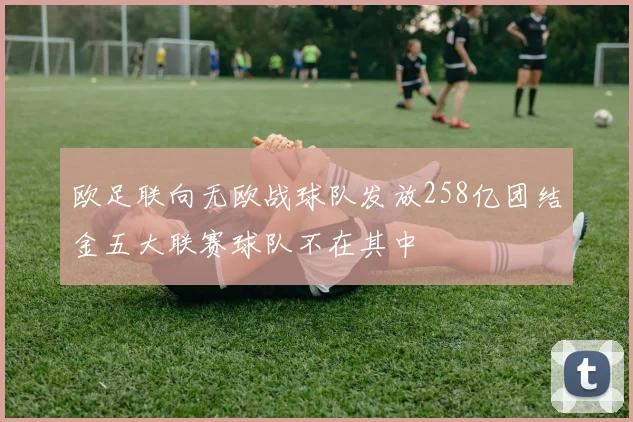 欧足联向无欧战球队发放258亿团结金五大联赛球队不在其中